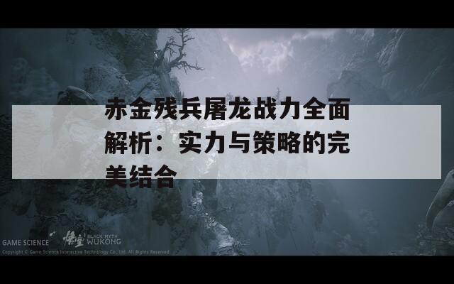 赤金残兵屠龙战力全面解析：实力与策略的完美结合