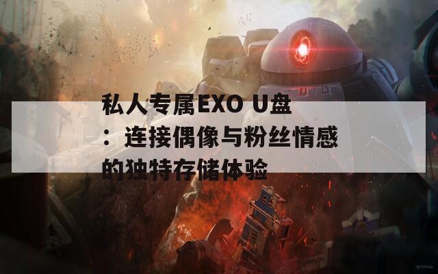 私人专属EXO U盘：连接偶像与粉丝情感的独特存储体验