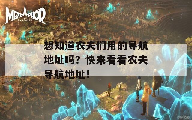 想知道农夫们用的导航地址吗？快来看看农夫导航地址！