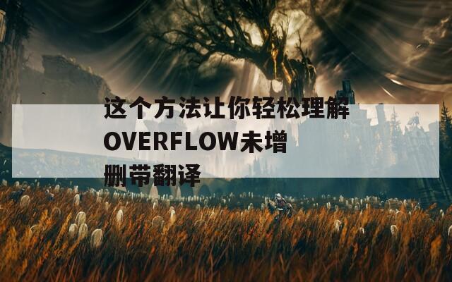 这个方法让你轻松理解OVERFLOW未增删带翻译