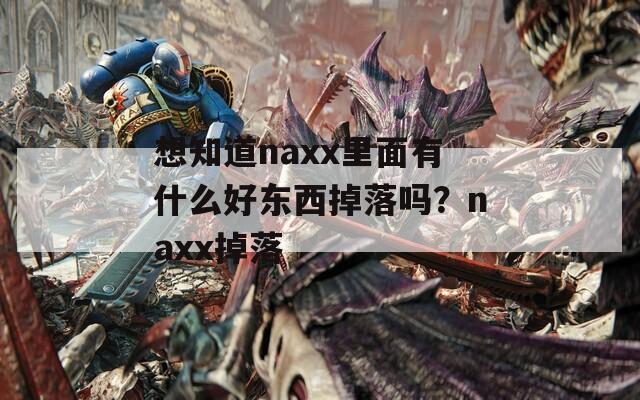 想知道naxx里面有什么好东西掉落吗？naxx掉落