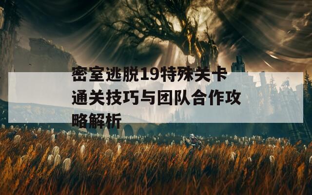 密室逃脱19特殊关卡通关技巧与团队合作攻略解析