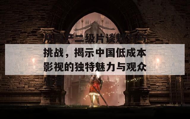 从国产二级片谈魅力与挑战，揭示中国低成本影视的独特魅力与观众感受