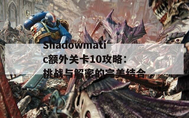 Shadowmatic额外关卡10攻略：挑战与解密的完美结合