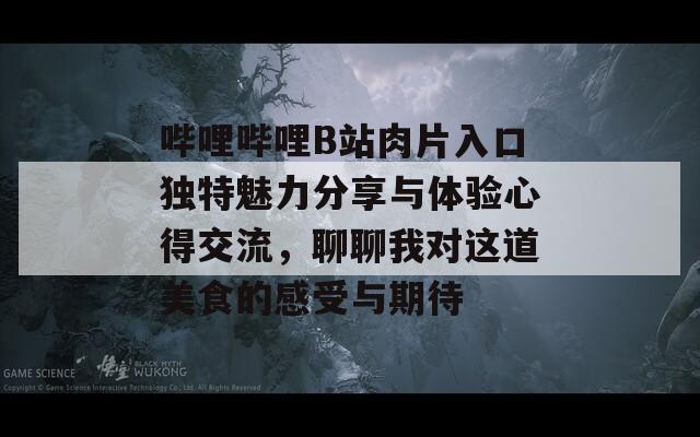 哔哩哔哩B站肉片入口独特魅力分享与体验心得交流，聊聊我对这道美食的感受与期待