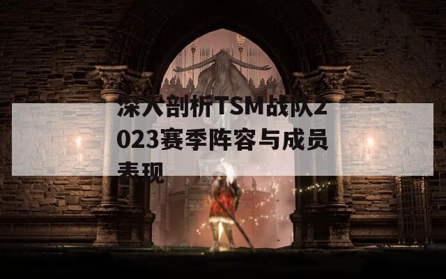 深入剖析TSM战队2023赛季阵容与成员表现