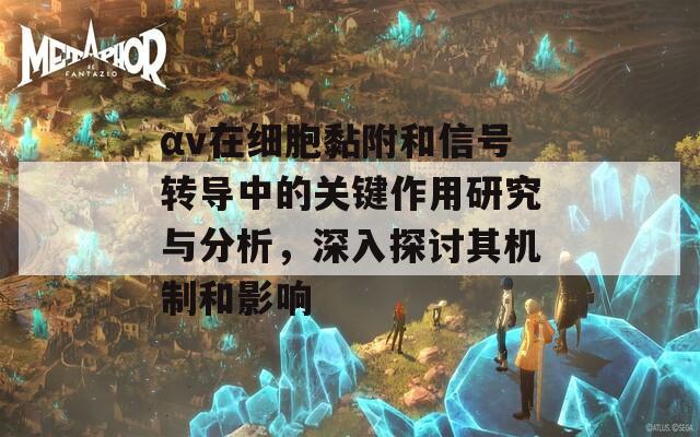 αv在细胞黏附和信号转导中的关键作用研究与分析，深入探讨其机制和影响