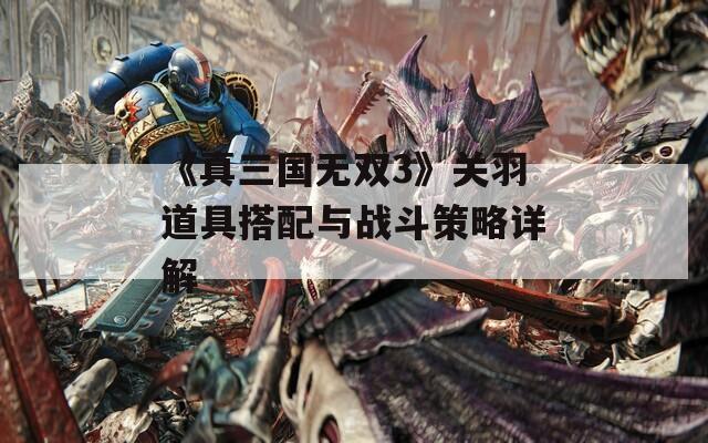 《真三国无双3》关羽道具搭配与战斗策略详解