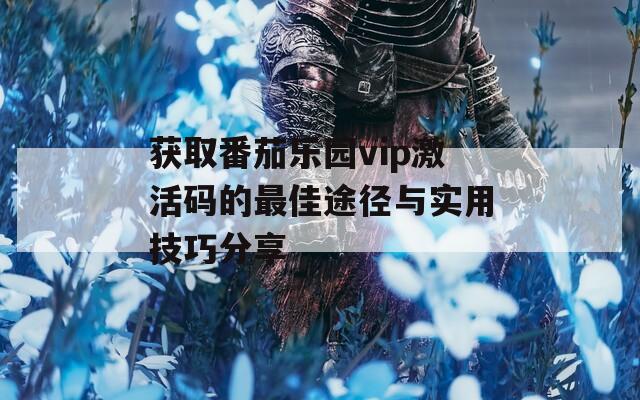 获取番茄乐园vip激活码的最佳途径与实用技巧分享