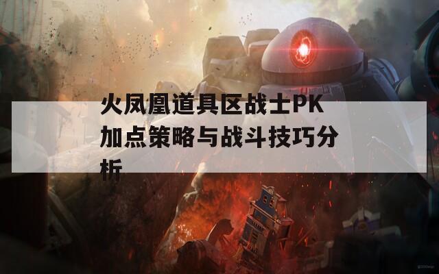 火凤凰道具区战士PK加点策略与战斗技巧分析