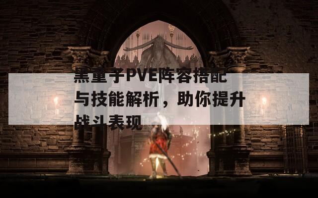 黑童子PVE阵容搭配与技能解析，助你提升战斗表现