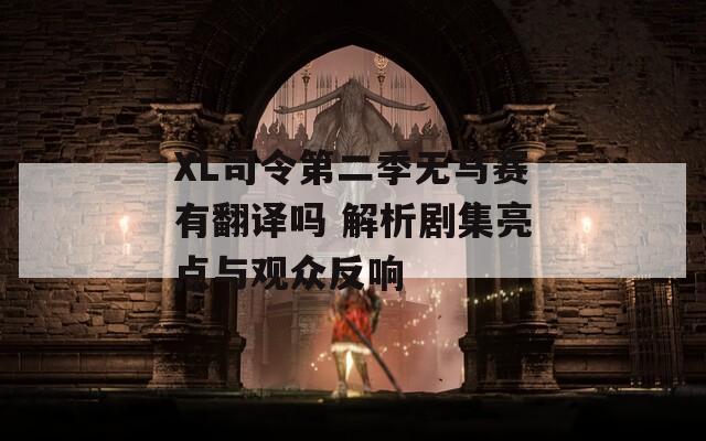 XL司令第二季无马赛有翻译吗 解析剧集亮点与观众反响