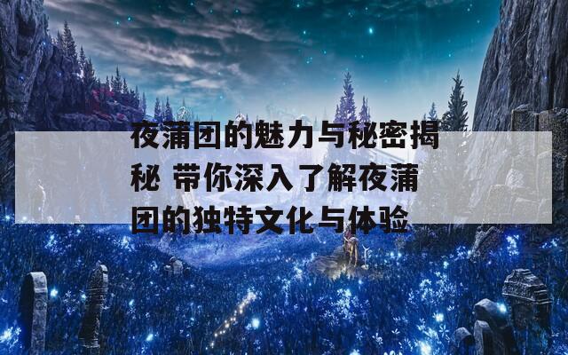 夜蒲团的魅力与秘密揭秘 带你深入了解夜蒲团的独特文化与体验