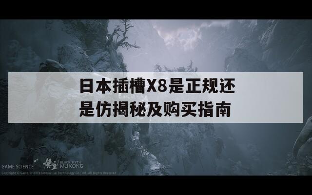 日本插槽X8是正规还是仿揭秘及购买指南