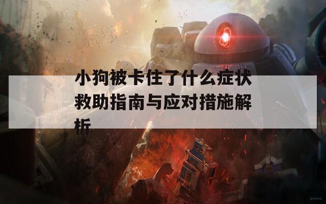 小狗被卡住了什么症状救助指南与应对措施解析