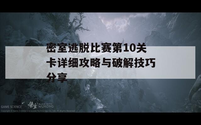 密室逃脱比赛第10关卡详细攻略与破解技巧分享