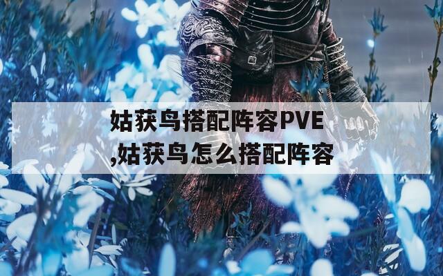 姑获鸟搭配阵容PVE,姑获鸟怎么搭配阵容