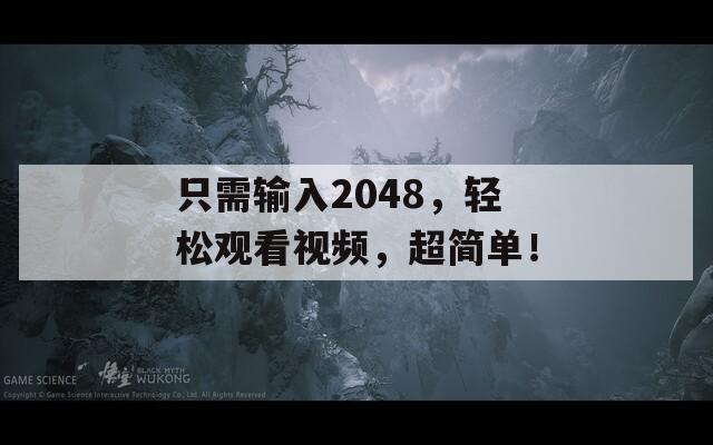 只需输入2048，轻松观看视频，超简单！