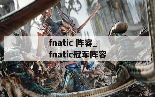 fnatic 阵容_fnatic冠军阵容