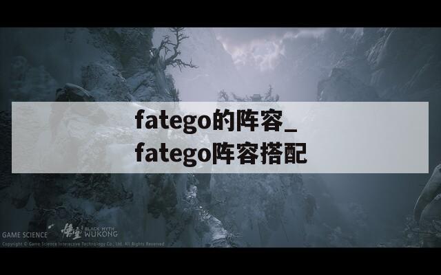 fatego的阵容_fatego阵容搭配