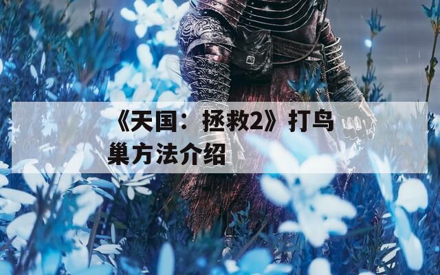 《天国：拯救2》打鸟巢方法介绍