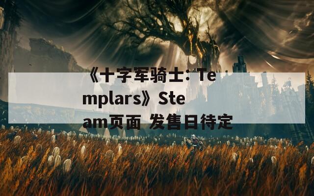 《十字军骑士: Templars》Steam页面 发售日待定