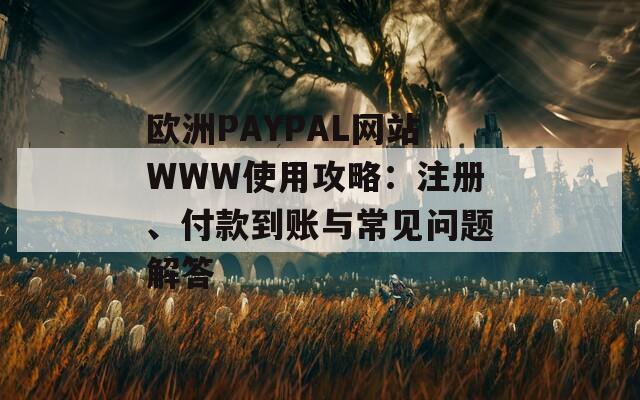 欧洲PAYPAL网站WWW使用攻略：注册、付款到账与常见问题解答