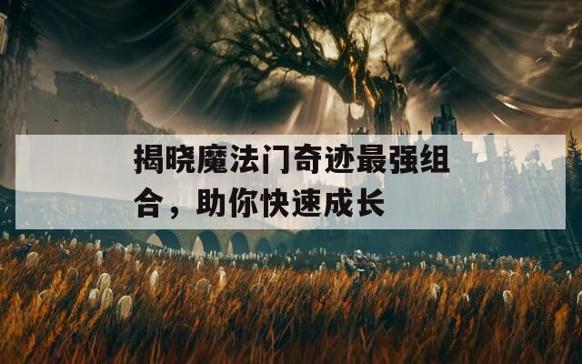 揭晓魔法门奇迹最强组合，助你快速成长