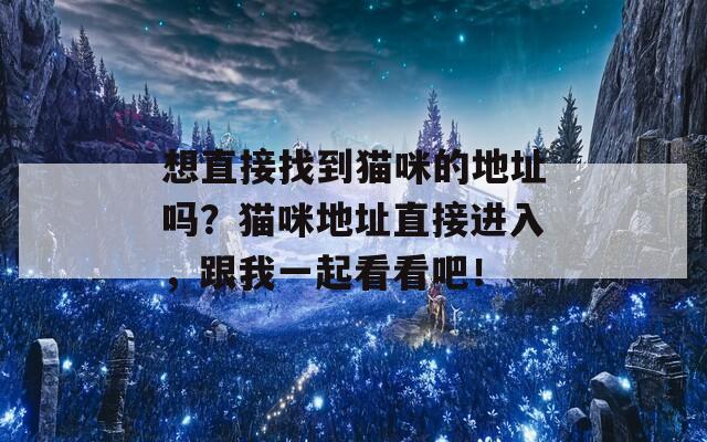 想直接找到猫咪的地址吗？猫咪地址直接进入，跟我一起看看吧！