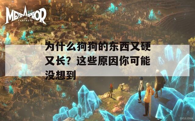 为什么狗狗的东西又硬又长？这些原因你可能没想到