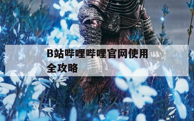 B站哔哩哔哩官网使用全攻略