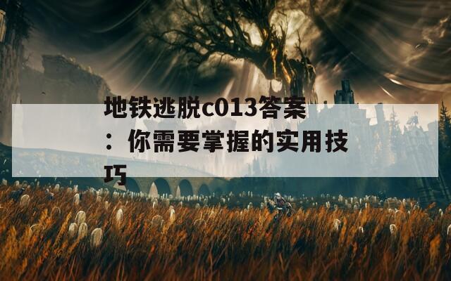 地铁逃脱c013答案：你需要掌握的实用技巧