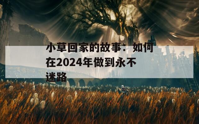 小草回家的故事：如何在2024年做到永不迷路