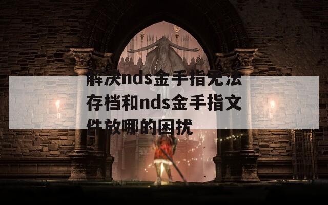 解决nds金手指无法存档和nds金手指文件放哪的困扰