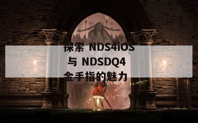 探索 NDS4iOS 与 NDSDQ4 金手指的魅力