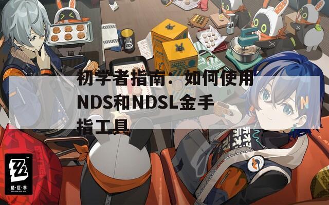 初学者指南：如何使用NDS和NDSL金手指工具