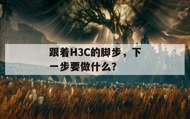 跟着H3C的脚步，下一步要做什么？