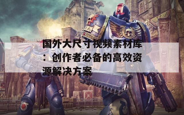 国外大尺寸视频素材库：创作者必备的高效资源解决方案