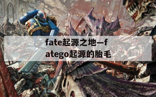 fate起源之地—fatego起源的胎毛