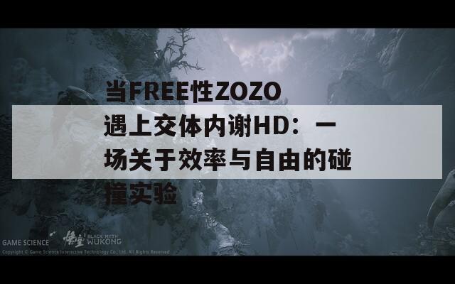 当FREE性ZOZO遇上交体内谢HD：一场关于效率与自由的碰撞实验