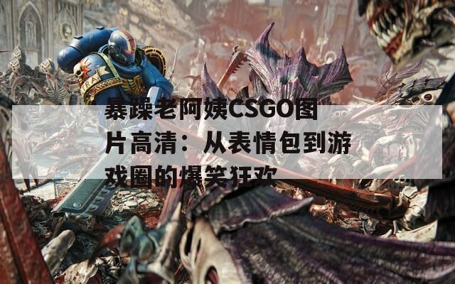 暴躁老阿姨CSGO图片高清：从表情包到游戏圈的爆笑狂欢