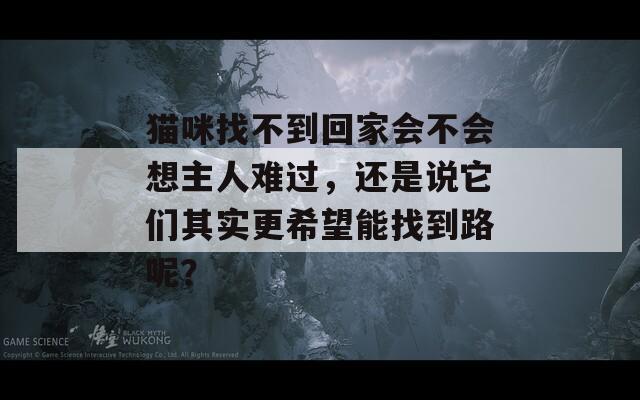 猫咪找不到回家会不会想主人难过，还是说它们其实更希望能找到路呢？