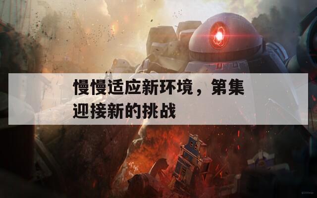 慢慢适应新环境，第集迎接新的挑战