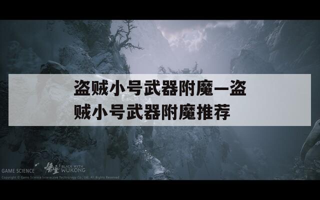 盗贼小号武器附魔—盗贼小号武器附魔推荐