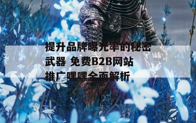 提升品牌曝光率的秘密武器 免费B2B网站推广嘿嘿全面解析