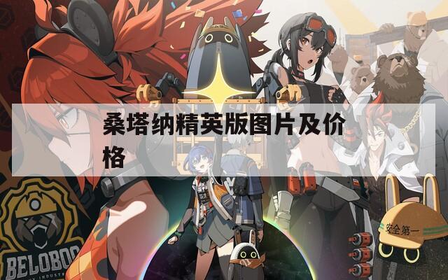 桑塔纳精英版图片及价格