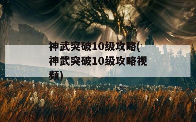 神武突破10级攻略(神武突破10级攻略视频)