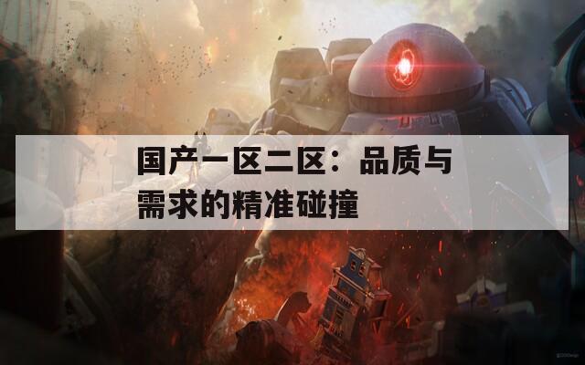 国产一区二区：品质与需求的精准碰撞