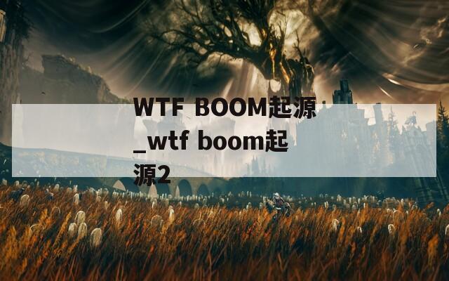 WTF BOOM起源_wtf boom起源2