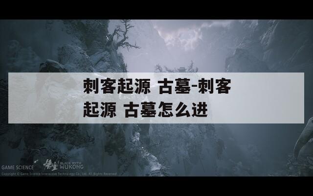刺客起源 古墓-刺客起源 古墓怎么进